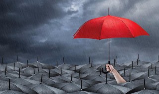 法不外乎人情什么意思 法不外乎人情的意思