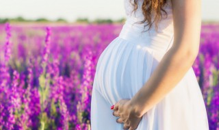 怀孕休假申请书怎么写 怀孕休假申请书如何写