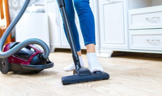 怎么杀死臭虫 臭虫怎么消灭