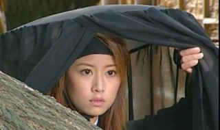 刘据被杀是什么电视剧 电视剧内容介绍