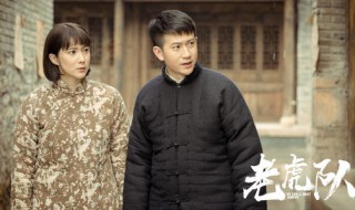 老虎队共有多少集 电视剧主要讲述什么故事