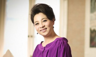 六六出演过什么电视剧 了解一下六六的情况