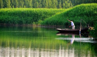 春季钓鲤鱼多深的水 看这里