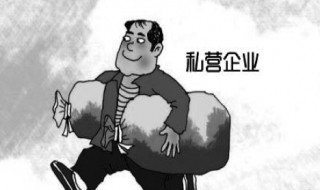 个体经济和私营经济的区别 分别了解一下个体经济和私营经济