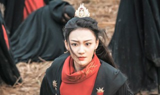 叶红鱼为什么杀掌教 了解一下将夜的剧情故事