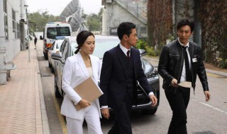 法证先锋4在哪个平台播出 电视剧介绍