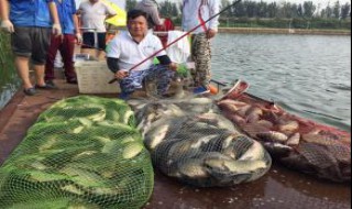 下鱼笼诱鱼方法 下于笼诱鱼的两种方法详解