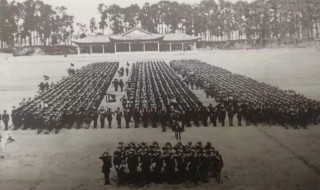 一个师长有多少兵力 一个师长兵力简述