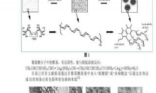 葡萄糖和银氨溶液反应方程式 葡萄糖和银氨溶液反应方程式简述