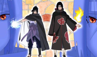 火影忍者佐助见到秽土转生鼬是第几集 兄弟相见