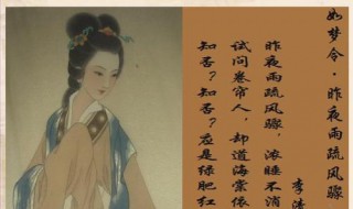 如梦令昨夜雨疏风骤赏析 赏析李清照的昨夜雨疏风骤