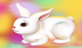 属兔的和什么属相最配 属兔与什么生肖相配