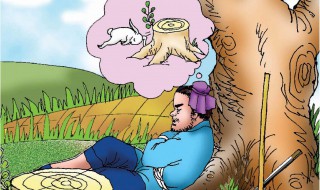 课文守株待兔翻译 守株待兔的原文和翻译