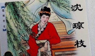 儒林外史沈琼枝的故事概括 儒林外史沈琼枝故事介绍