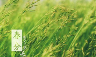 春分节气优美短句 列出如下4句
