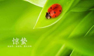 惊蛰养生应该注意什么 你知道答案了吗