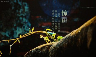 惊蛰后还要冷到什么时候 冷到春分