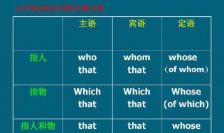 that什么时候不能用要用which 什么时候只能用which而不能用that