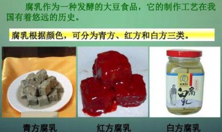 生物选修一腐乳的制作知识点 生物选修一腐乳制作知识总结