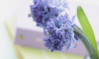 小学生朗读励志宣言一句话 这些句子虽然简短但有力量