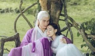 三生三世枕上书凤九是哪一集结婚的 进来看看