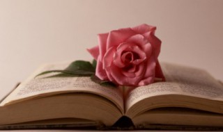 有什么好看的经典言情小说？ 这几部都是言情类小说很是推荐