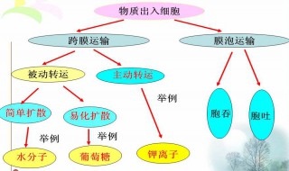 极性运输需要能量吗 非极性运输需要能量吗
