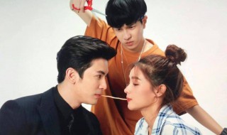 楠佩琦文是什么电视剧 该剧讲述了什么故事