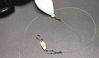 瓜子亮片是钓底还是钓浮好 瓜子亮片的使用方法