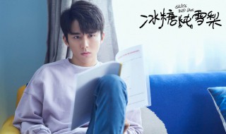 冰糖炖雪梨什么时候播 一天更新几集