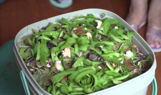 废菜叶怎样做成有机肥? 快来学习一下