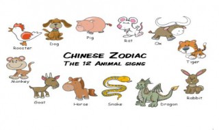 十二生肖年的英文表达 十二生肖年份英语表达