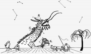 二月二为什么要理发 二月二为什么要理头发