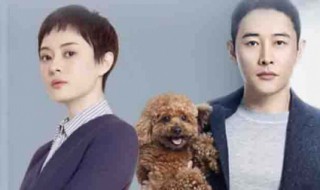 安家电视剧什么时候更新 安家电视剧的大结局什么时候播放