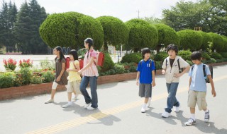 小学生法制小知识 小学生法制小知识问答