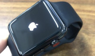 applewatch5微信通讯录备份在哪（apple watch微信通讯录在哪）
