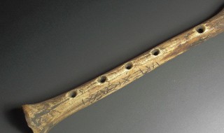 最古老的乐器是什么 河南最古老的乐器是什么