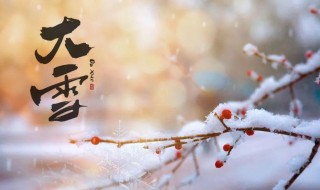 大雪节气吃什么好（大雪节气吃什么好养生）