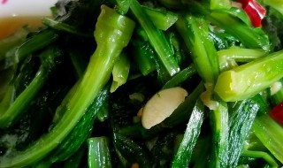 油麦菜该如何做 油麦菜该如何做好吃