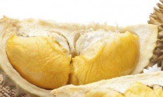 榴莲去壳去掉一半发现没熟怎么办 榴莲去壳去掉一半发现没熟怎么办视频