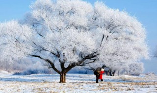 一句话描述北京有多冷 描写北京冷的一段话