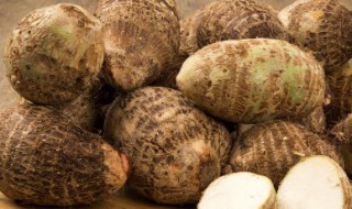 芋头的养殖方法和时间（芋头的养殖方法和时间是什么）