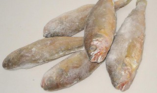 如何做冰冻的黄鱼 如何做冰冻的黄鱼片