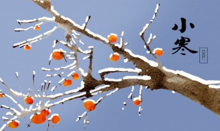 小寒古诗(小寒古诗张昱)