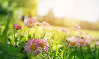 抖音个性签名说说 抖音个性签名说说语句