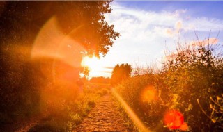 拍快手适合发的句子 拍快手适合发的句子搞笑