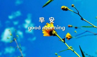 高分作文描写清晨的优美句子（关于写清晨的优美句子）