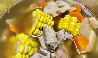冬瓜玉米大骨汤怎么做 冬瓜玉米大骨汤怎么做好喝