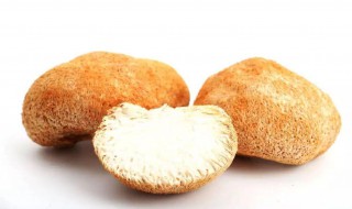 猴头菇煲汤的功效与作用 猴头菇煲汤的功效与作用及食用方法