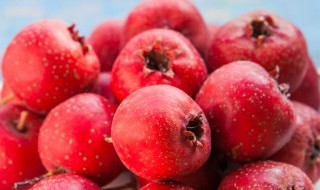 山楂干炖羊排制作方法 山楂干炖羊排制作方法窍门